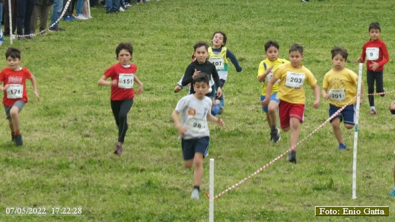 Ravenna: Teodora Ravenna Run - 07 maggio 2022